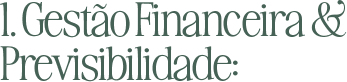 1. Gestão Financeira & Previsibilidade: