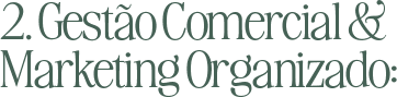 2. Gestão Comercial & Marketing Organizado: