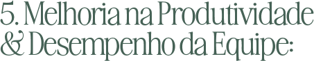 5. Melhoria na Produtividade & Desempenho da Equipe: