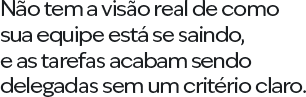Não tem a visão real de como sua equipe está se saindo, e as tarefas acabam sendo delegadas sem um critério claro.
